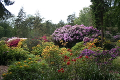 Killikus&reg; Fotographie